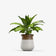products/3592.jpg