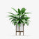 products/3608.jpg