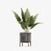 products/4136.jpg
