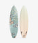 products/surfboard-30.jpg
