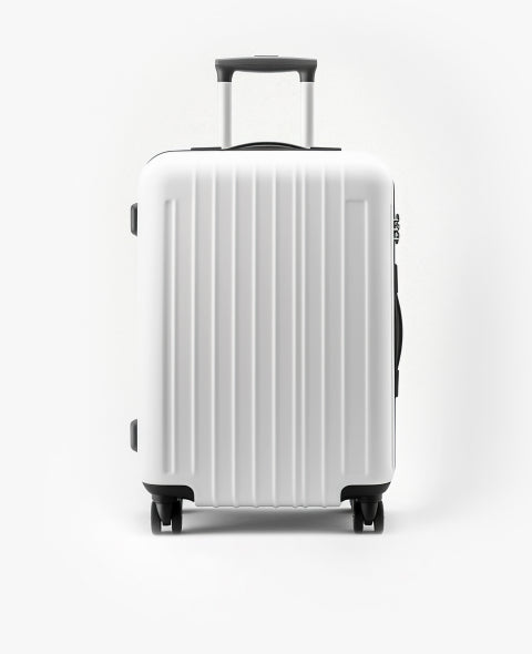 Business Travel 24 Inches