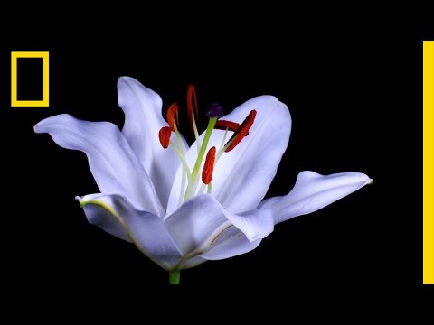 [Product Media] AR/3D model on load