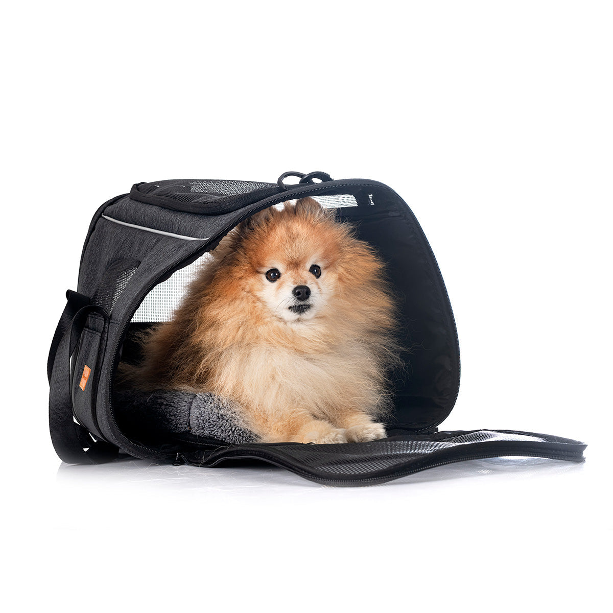 (Product 7) Sample - Pet Accessories For Sale Secondary image